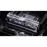 G.Skill F5-6400J3239G16GX2-TR5S, Mémoire vive Argent