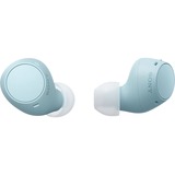 Sony  écouteurs in-ear Bleu