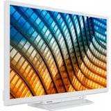 Toshiba  24" TV LED Blanc