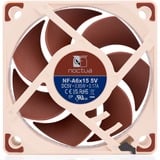 Noctua NF-A6x15 5V, Ventilateur de boîtier 