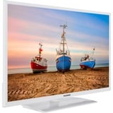 Telefunken  32" TV LED Blanc