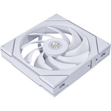 Lian Li 14TL1W, Ventilateur de boîtier Blanc