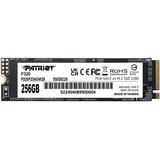 Patriot  SSD 