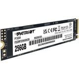 Patriot  SSD 