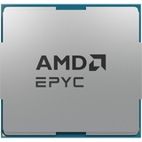 AMD  socket  processeur Tray