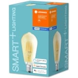 LEDVANCE SMART+ Filament Edison Dimmable Ampoule intelligente 5,5 W Transparent Bluetooth, Lampe à LED Ampoule intelligente, Transparent, Bluetooth, LED, Blanc chaud, 2500 K