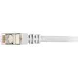 Sharkoon Câble  RJ-45 Cat.6 S/FTP Gris, 2 Mètre