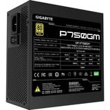 GIGABYTE GP-P750GM, 750 Watt alimentation  Noir, Gestion des câbles, 4x PCIe