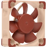 Noctua NF-A4x10 5V PWM, Ventilateur de boîtier Ventilateur, 4 cm, 1000 tr/min, 5000 tr/min, 19,6 dB, 8,9 m³/h