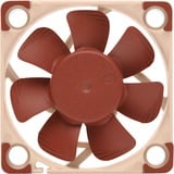 Noctua NF-A4x10 5V PWM, Ventilateur de boîtier Ventilateur, 4 cm, 1000 tr/min, 5000 tr/min, 19,6 dB, 8,9 m³/h