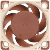 Noctua NF-A4x20 PWM, Ventilateur de boîtier Connexion PWM à 4 broches