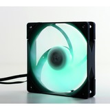 Scythe Kaze Flex PWM RGB 800, Ventilateur de boîtier Ventilateur, 12 cm, 300 tr/min, 800 tr/min, 14,5 dB, 43,03 cfm