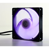 Scythe Kaze Flex PWM RGB 800, Ventilateur de boîtier Ventilateur, 12 cm, 300 tr/min, 800 tr/min, 14,5 dB, 43,03 cfm