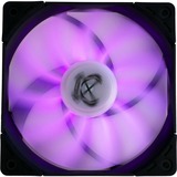 Scythe Kaze Flex PWM RGB 800, Ventilateur de boîtier Ventilateur, 12 cm, 300 tr/min, 800 tr/min, 14,5 dB, 43,03 cfm