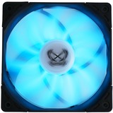 Scythe Kaze Flex PWM RGB 800, Ventilateur de boîtier Ventilateur, 12 cm, 300 tr/min, 800 tr/min, 14,5 dB, 43,03 cfm