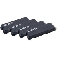 Kioxia  SSD 