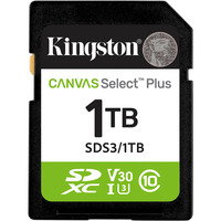 Kingston SDS3/1TB, Carte mémoire