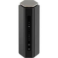 Netgear RS600-100EUS, Routeur 