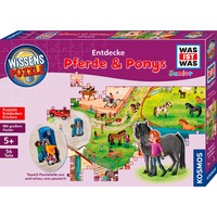 KOSMOS 683672, Puzzle