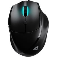 Sharkoon OfficePal M25W, Souris Noir, 400 - 4000 DPI, RGB, 2,4 GHz / USB