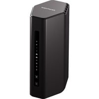 Netgear RS300-100EUS, Routeur 