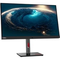 Lenovo  31.5" 4K UHD Moniteur  Noir