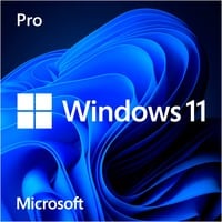 Microsoft Windows 11 Pro, Logiciel 