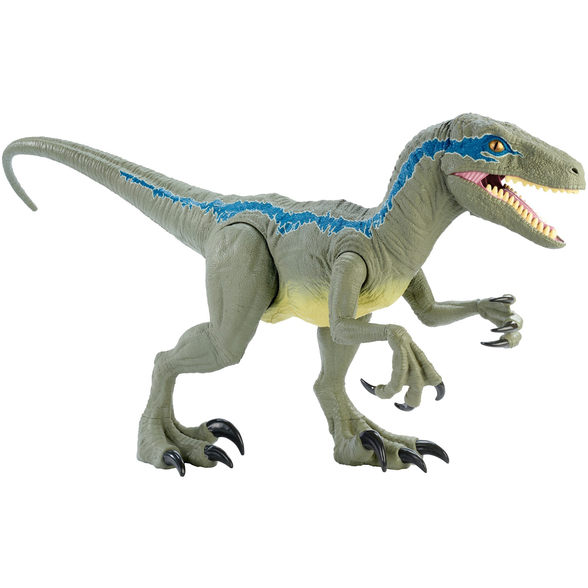 Динозавры мир юрского. Игрушки Mattel Jurassic World Велоцераптор. Mattel Jurassic World - колоссальный Велоцираптор Блю gct93. Jurassic World игрушки Velociraptor Blue. Mattel Велоцираптор Блю.